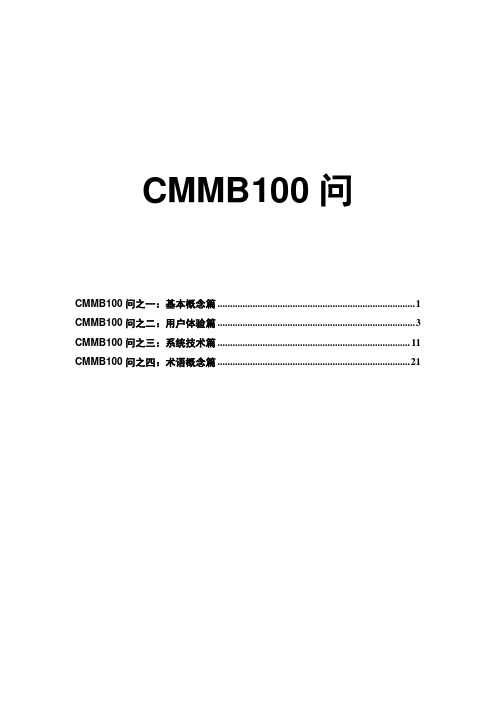 CMMB100问(DOC 26页)