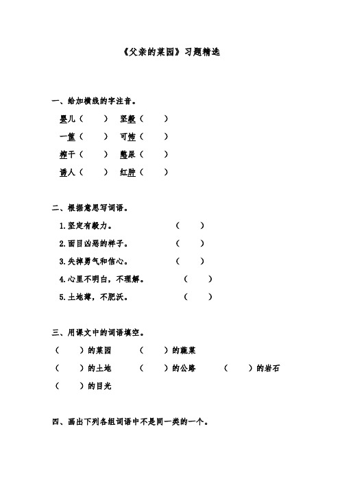 推荐精品小学语文人教版四年级下册《父亲的菜园》精品习题精品