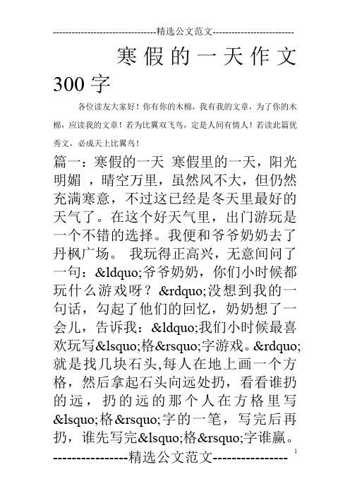 寒假的一天作文300字