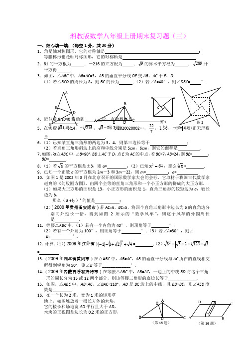 湘教版数学八年级上册期末复习题(三)及参考答案