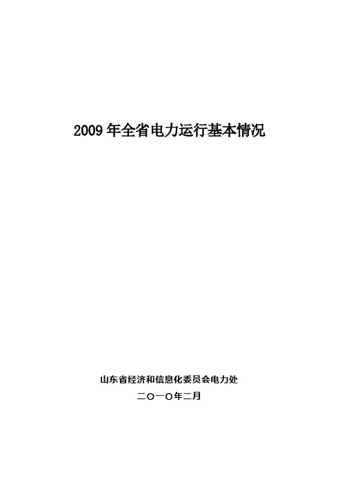 2009年全电力运行基本情况