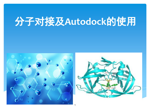 分子对接的原理,方法及应用资料