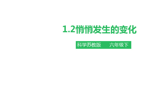 六年级下册科学课件1.2悄悄发生的变化苏教版