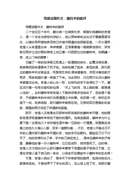 母爱话题作文：藏羚羊的跪拜