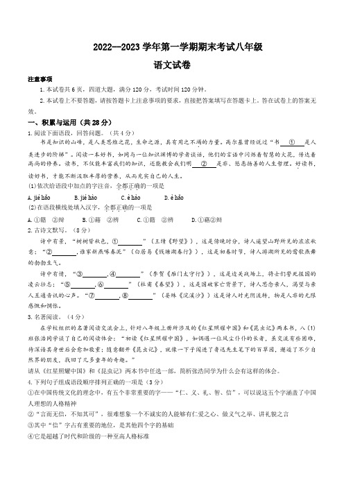 河南省洛阳市嵩县2022-2023学年八年级上学期期末语文试题(含答案)