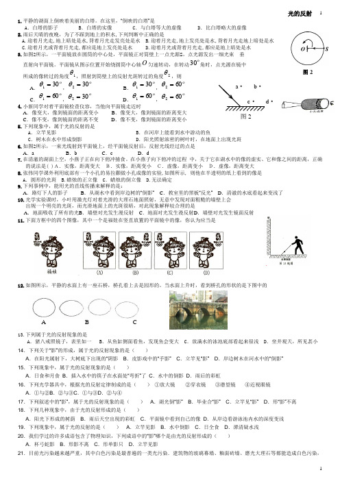 初中物理 光的反射练习题