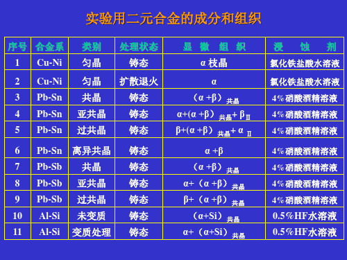 二元合金显微组织分析