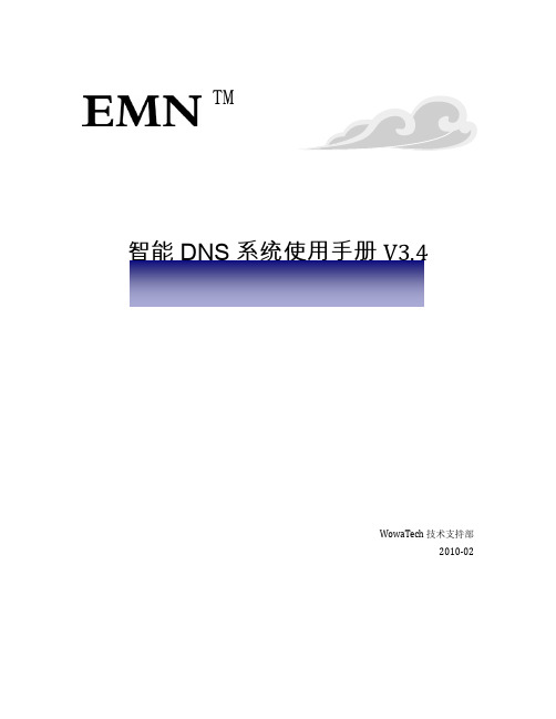 EMN智能DNS使用手册v3.4