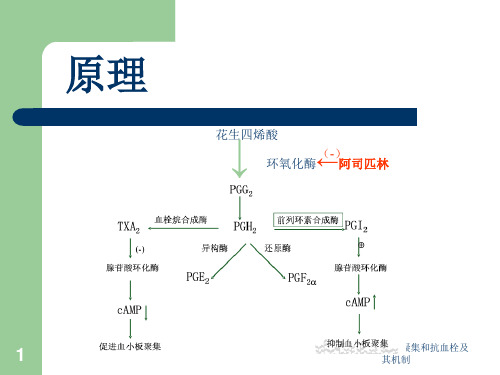 阿司匹林抗血小板凝集和抗血栓及其机制ppt课件