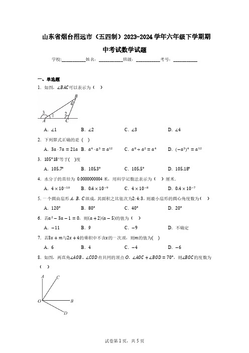 山东省烟台招远市(五四制)2023-2024学年六年级下学期期中考试数学试题