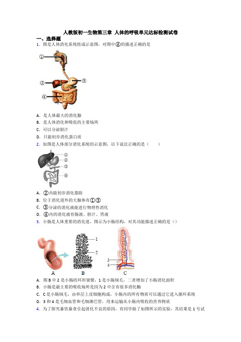 人教版初一生物第三章 人体的呼吸单元达标检测试卷