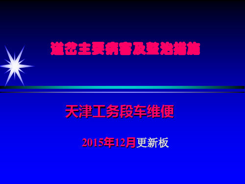 道岔主要病害及整治措施