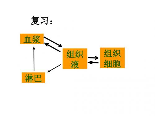 1.2内环境稳态的重要性(共35张PPT)