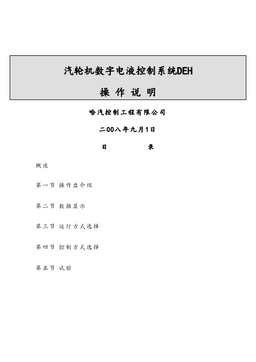 DEH操作说明书