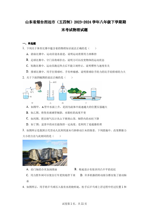 山东省烟台招远市(五四制)2023-2024学年八年级下学期期末考试物理试题