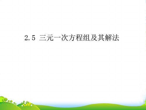 浙教版七年级数学下册第二章《三元一次方程组》公开课课件