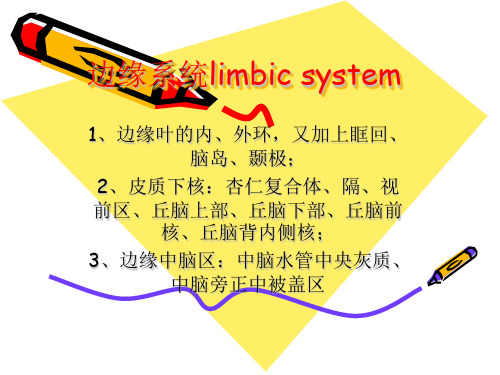 边缘系统limbic system