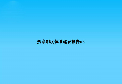 规章制度体系建设报告ok