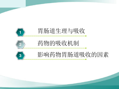 胃肠道药物的体内过程和影响疗效