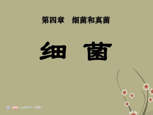 【小学课件】《细菌》细菌和真菌优质PPT课件3