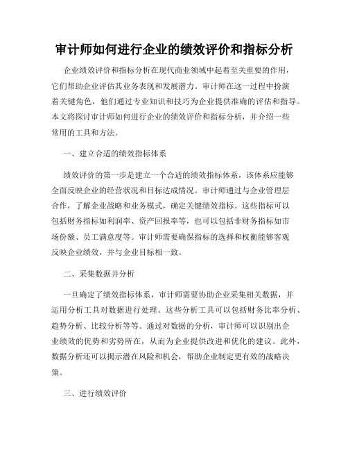 审计师如何进行企业的绩效评价和指标分析