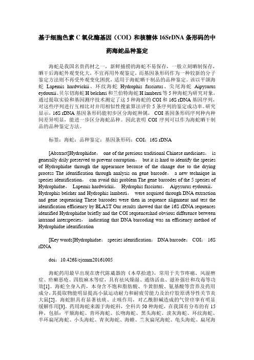 基于细胞色素C氧化酶基因(COI)和核糖体16SrDNA条形码的中药海蛇品种鉴定