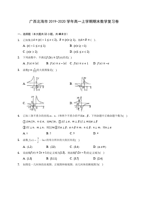 广西北海市2019-2020学年高一上学期期末数学复习卷(有解析)