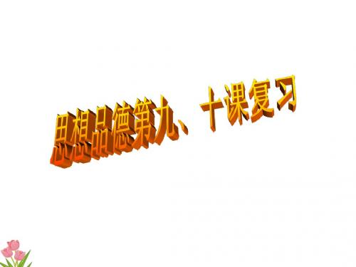 八上第四单元第九、十课复习课件