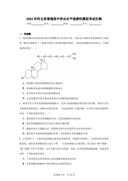 2024年河北省普通高中学业水平选择性模拟考试生物