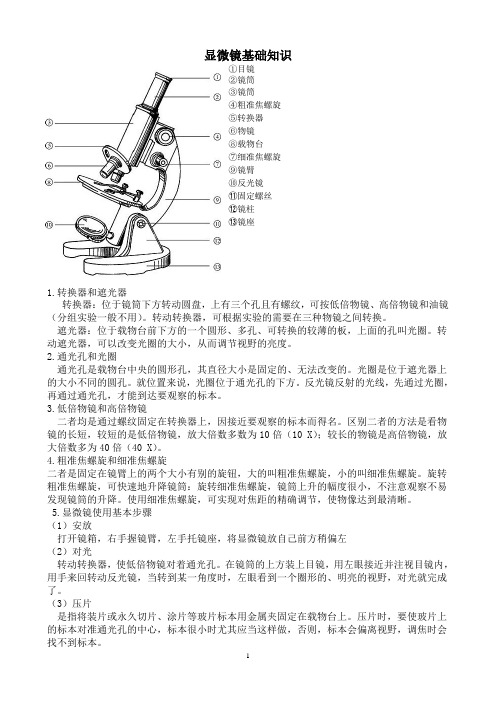 显微镜基础知识