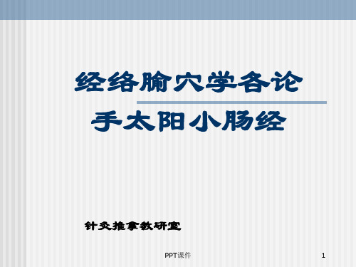 经络腧穴学各论--手太阳小肠经  ppt课件