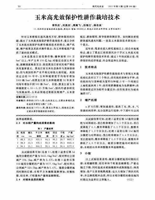 玉米高光效保护性耕作栽培技术