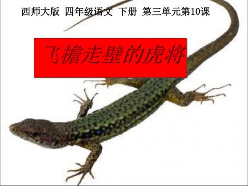 《飞檐走壁的虎将》PPT课件3