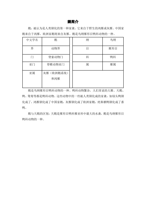 (知识锦囊)鹅简介