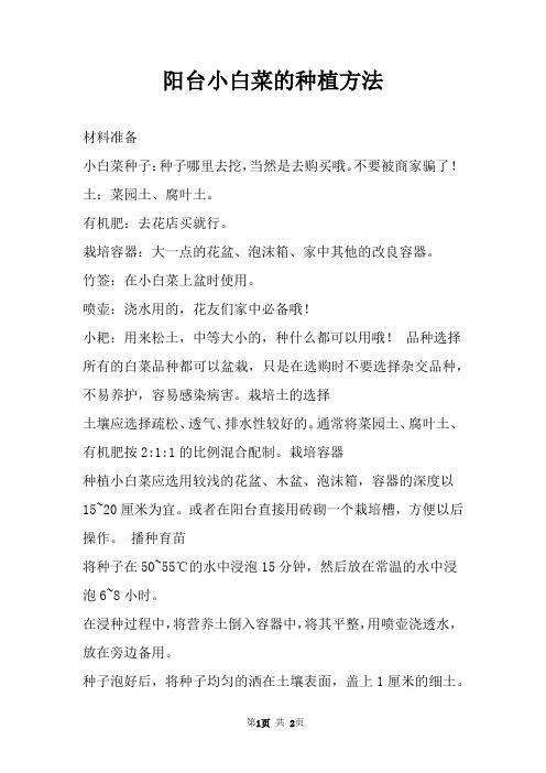 阳台小白菜的种植方法
