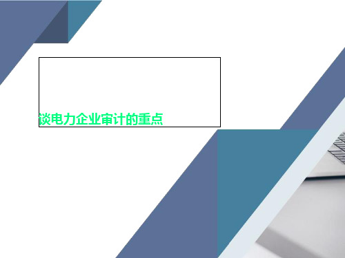 谈电力企业审计的重点