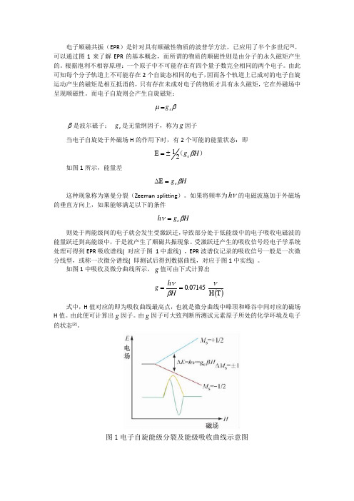 电子顺磁共振