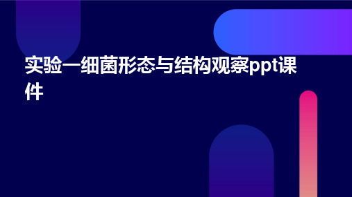 实验一细菌形态与结构观察PPT课件