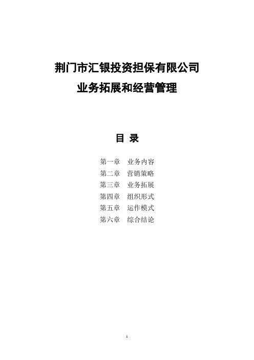 业务拓展融资性担保公司经营发展战略和规划范本