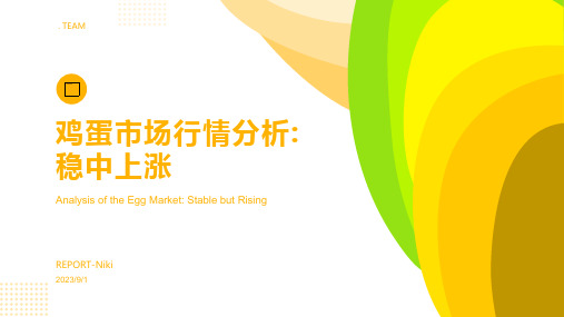 2023年鸡蛋行情走势分析：价格逐步回暖 全国鸡蛋价格稳中上涨方案模板