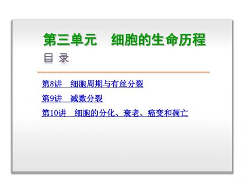 2019届高考生物(浙江选考)一轮复习精讲课件：第3单元-细胞的生命历程 (共167张PPT)