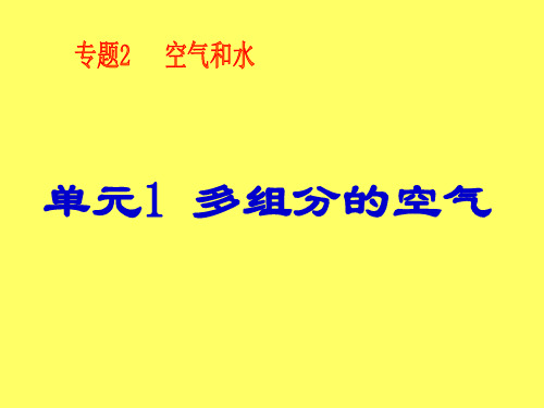 仁爱版化学九年级上册 2.1 多组分的空气 课件