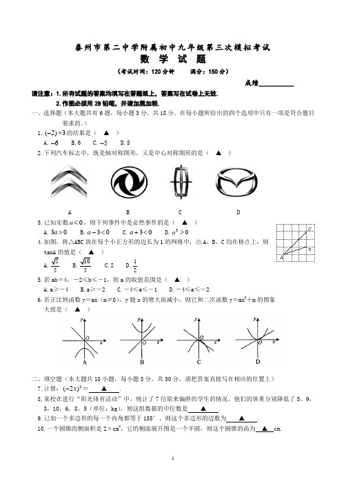 江苏省泰州市第二中学附属初中2016届九年级第三次模拟考试数学试题