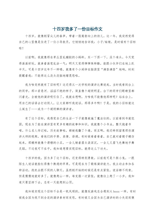 十四岁我多了一份目标作文