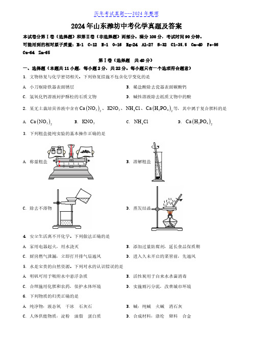 2024年山东潍坊中考化学真题及答案