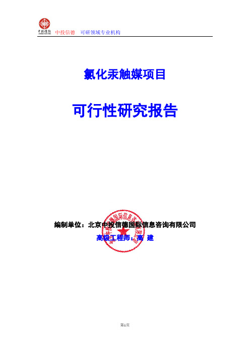 氯化汞触媒项目可行性研究报告编写格式及参考(模板Word)