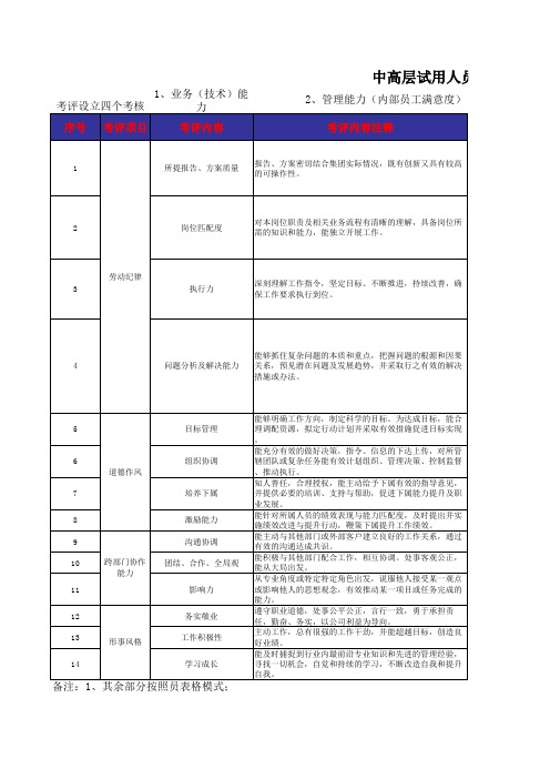 中高层试用人员胜任力考核(转正考核工具)