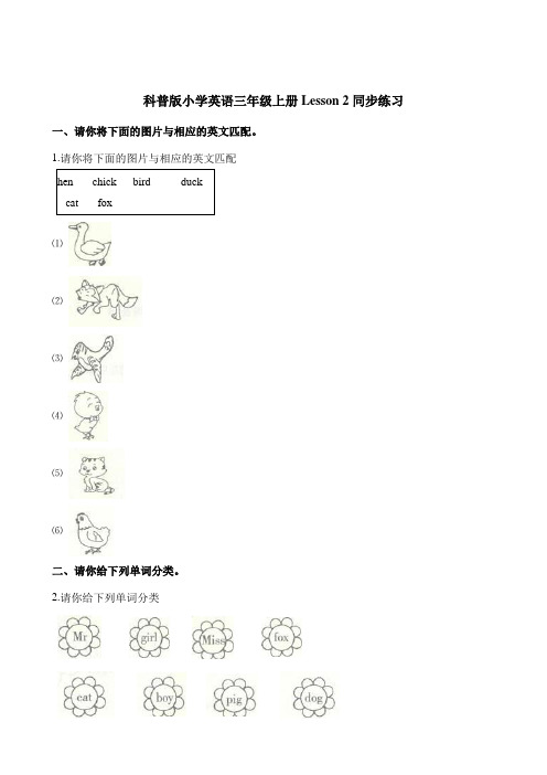 三年级上册英语一课一练-Lesson 2 are you Mr Dog_同步练习 科普版(三起)(含答案)