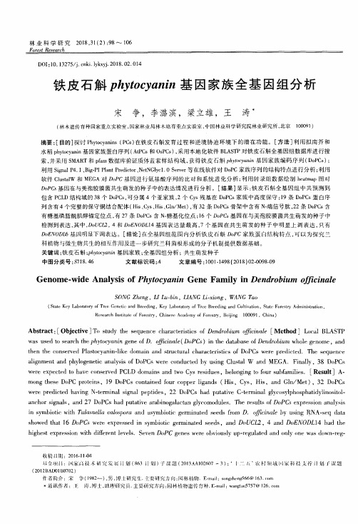 铁皮石斛phytocyanin基因家族全基因组分析