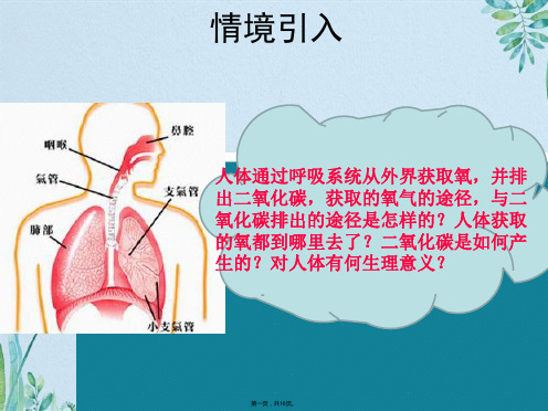 人教版七级下册生物人体的呼吸复习课件(共16张PPT)